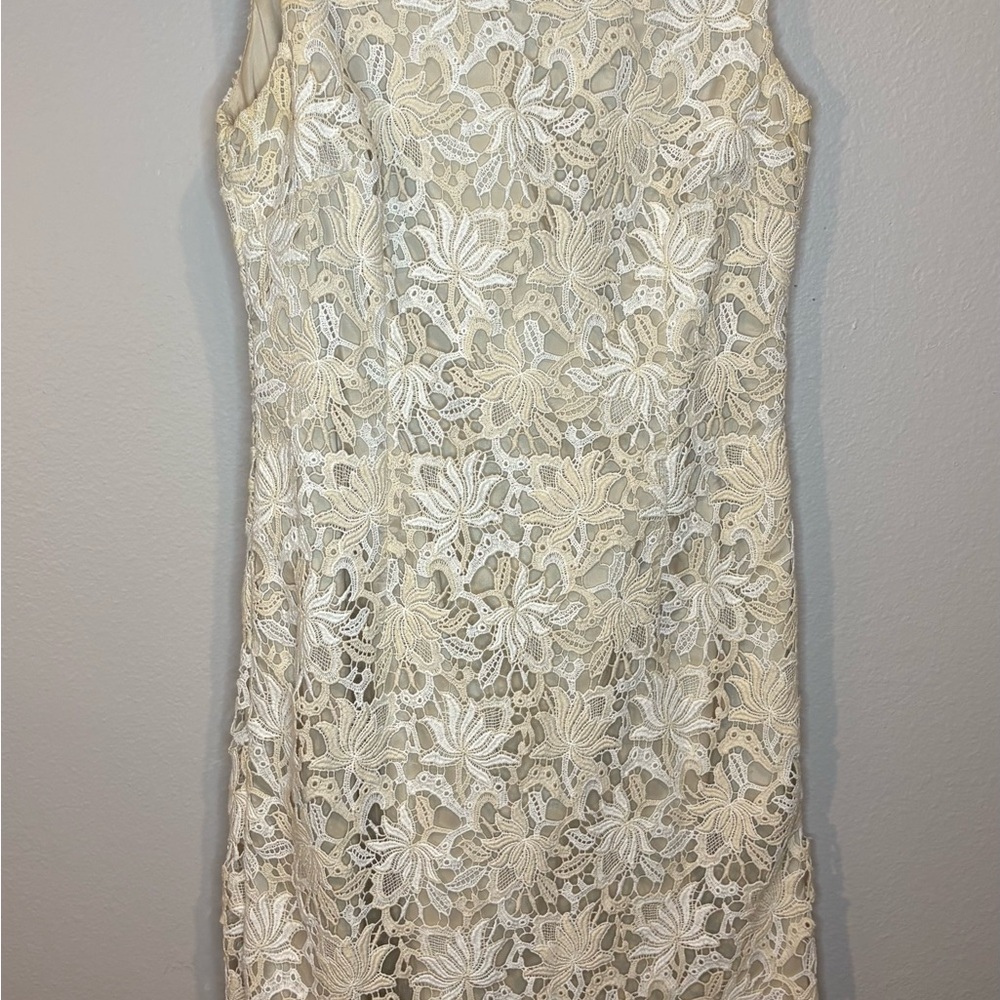 Ann Taylor Cream Floral Lace Mini Dress